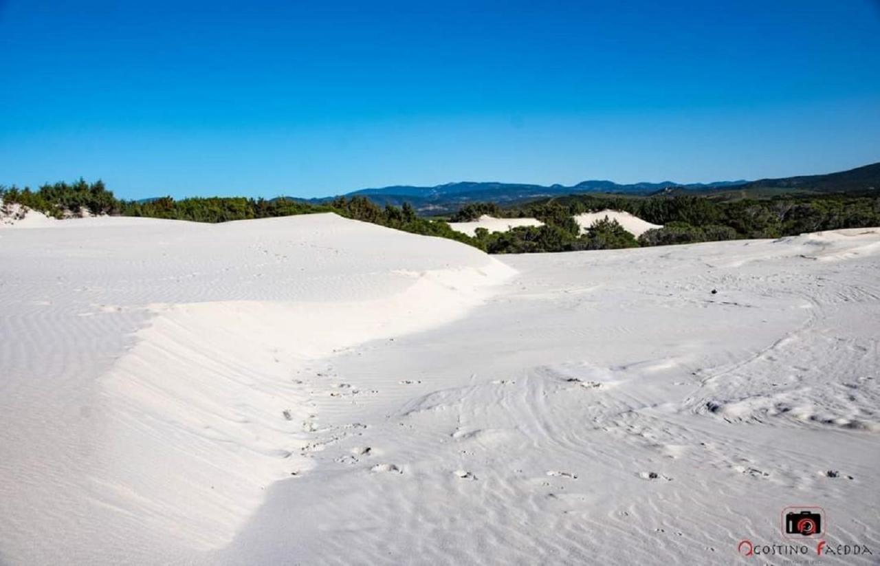 Vila Casa Vacanza Le Dune SantʼAnna Arresi Exteriér fotografie