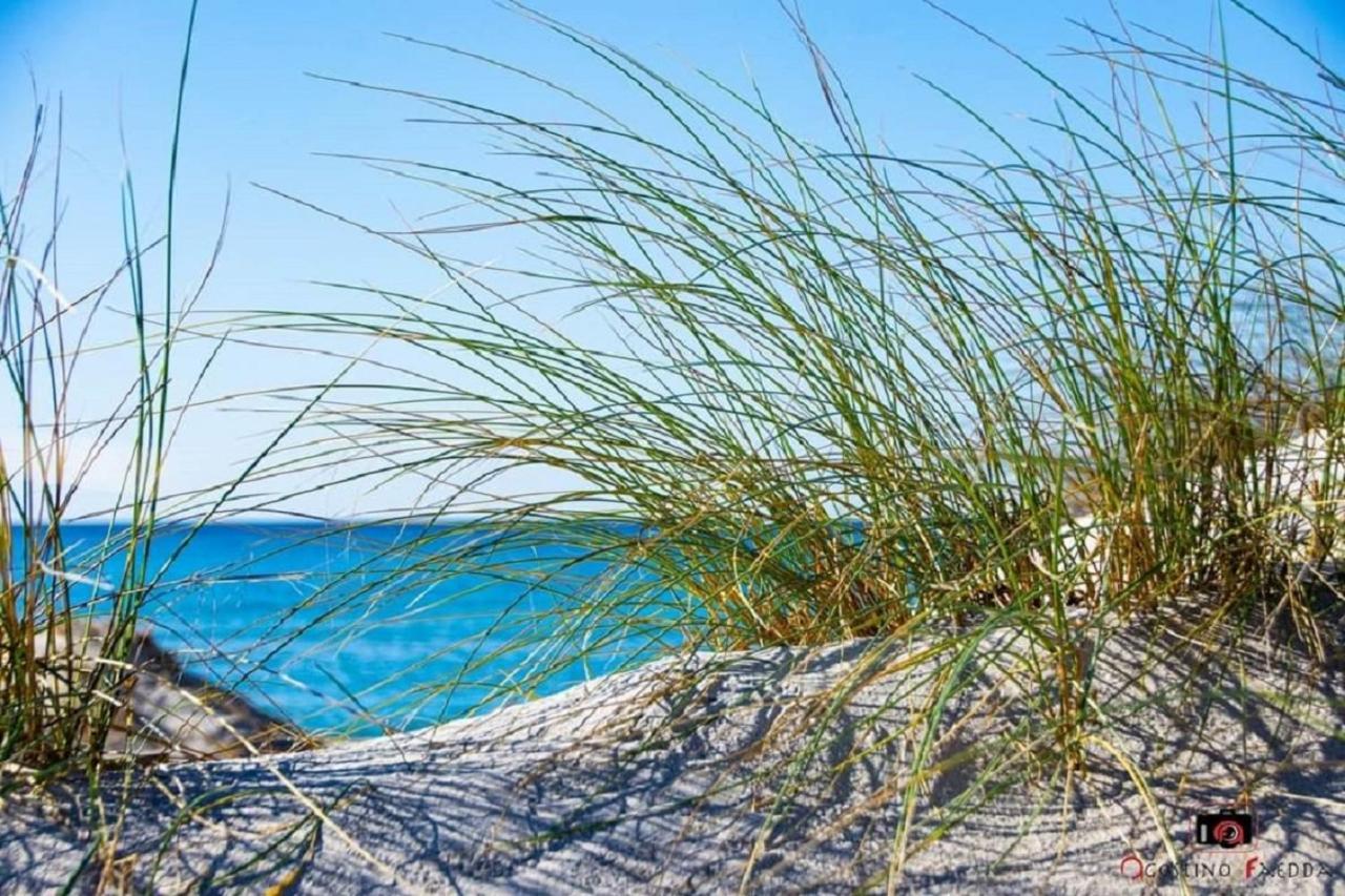 Vila Casa Vacanza Le Dune SantʼAnna Arresi Exteriér fotografie